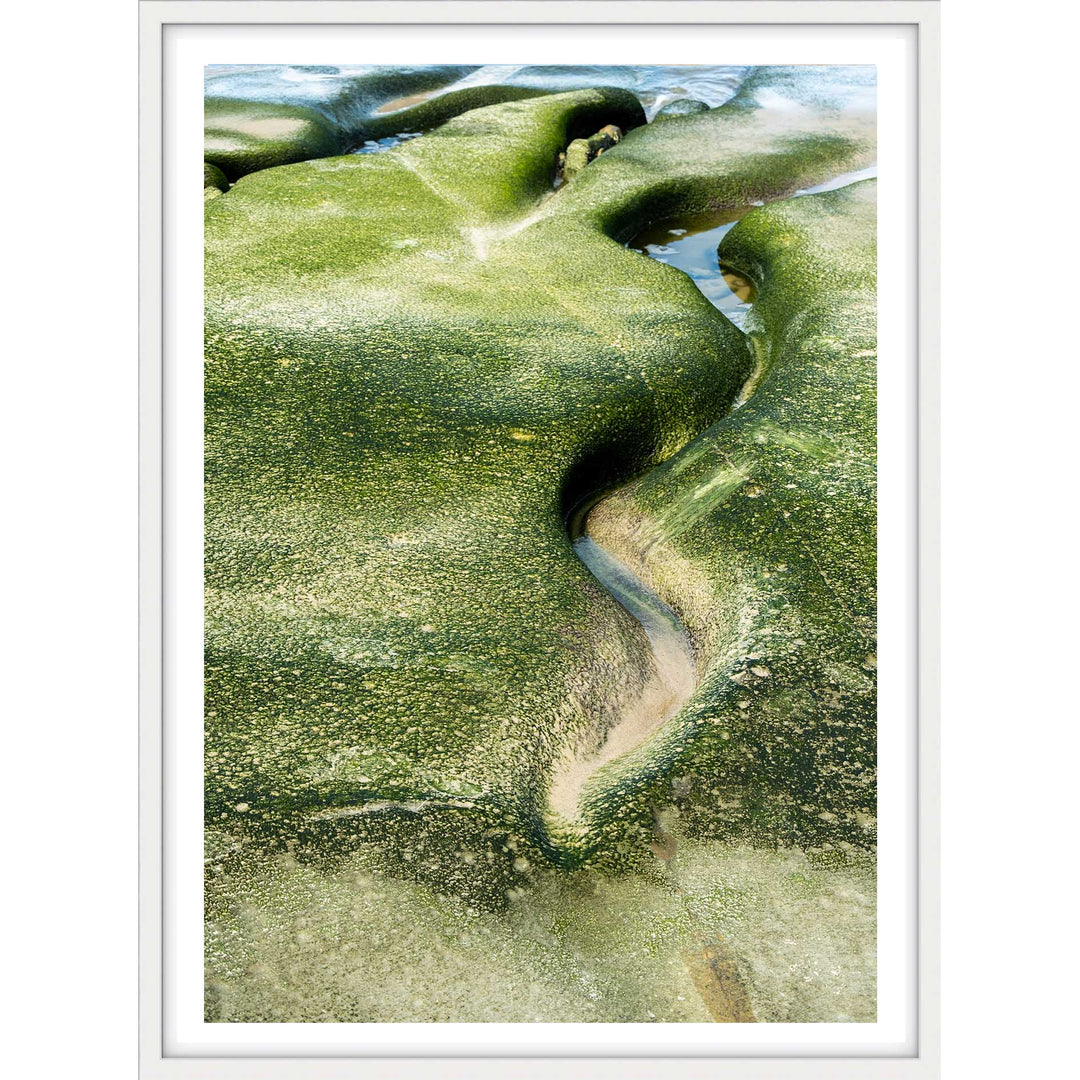 Salt & Moss II