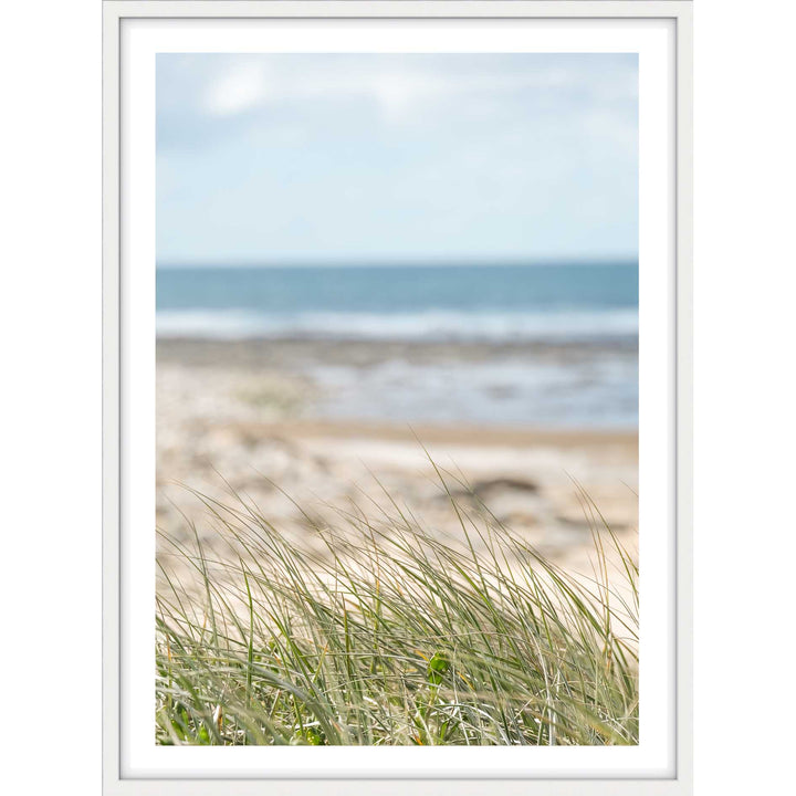 Coastal Breeze
