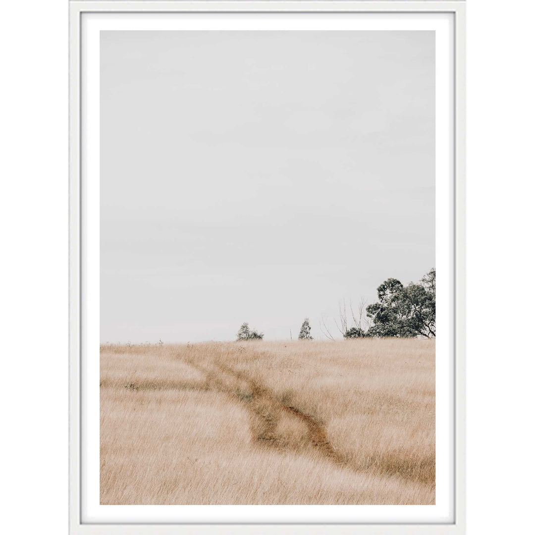 Traces