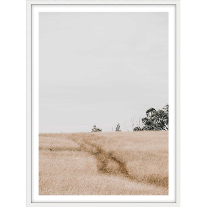 Traces