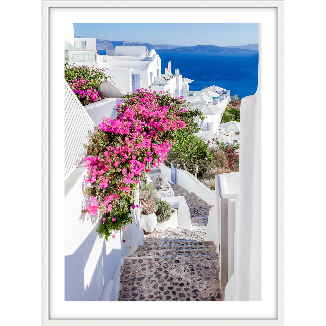Santorini Wildflowers