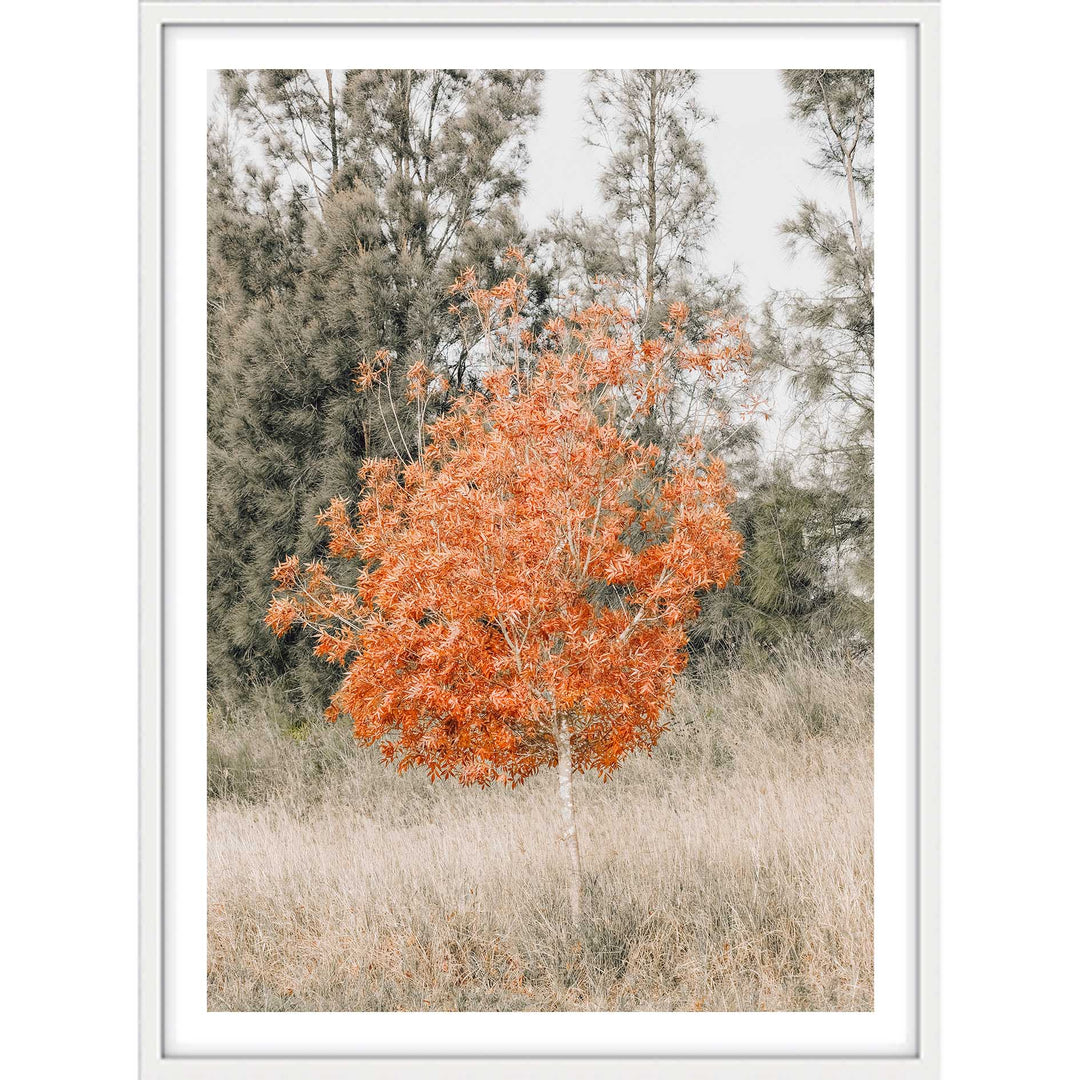 Ignite