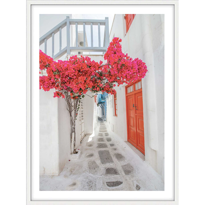 Citrus Doors