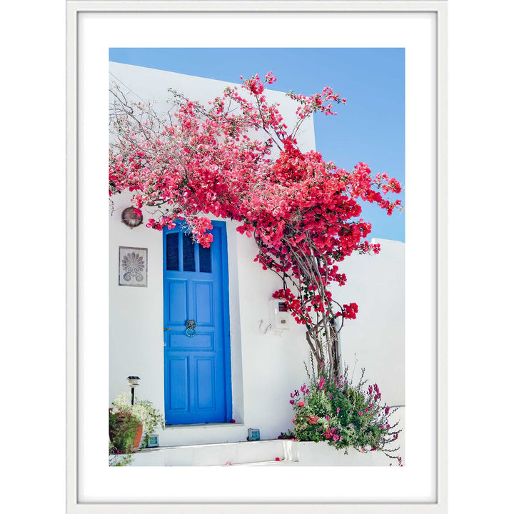 Greek Blooms