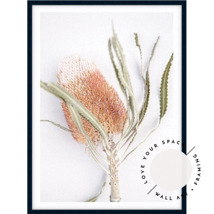 Banksia I - Love Your Space