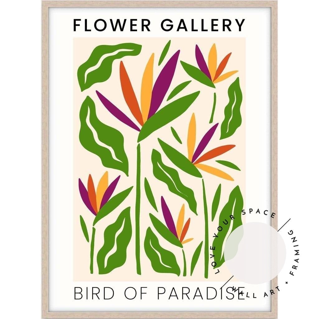 Flower Gallery - Birds of Paradise - Love Your Space