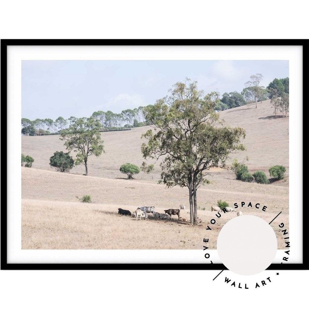 Getting Shade - The Hunter Valley - Love Your Space