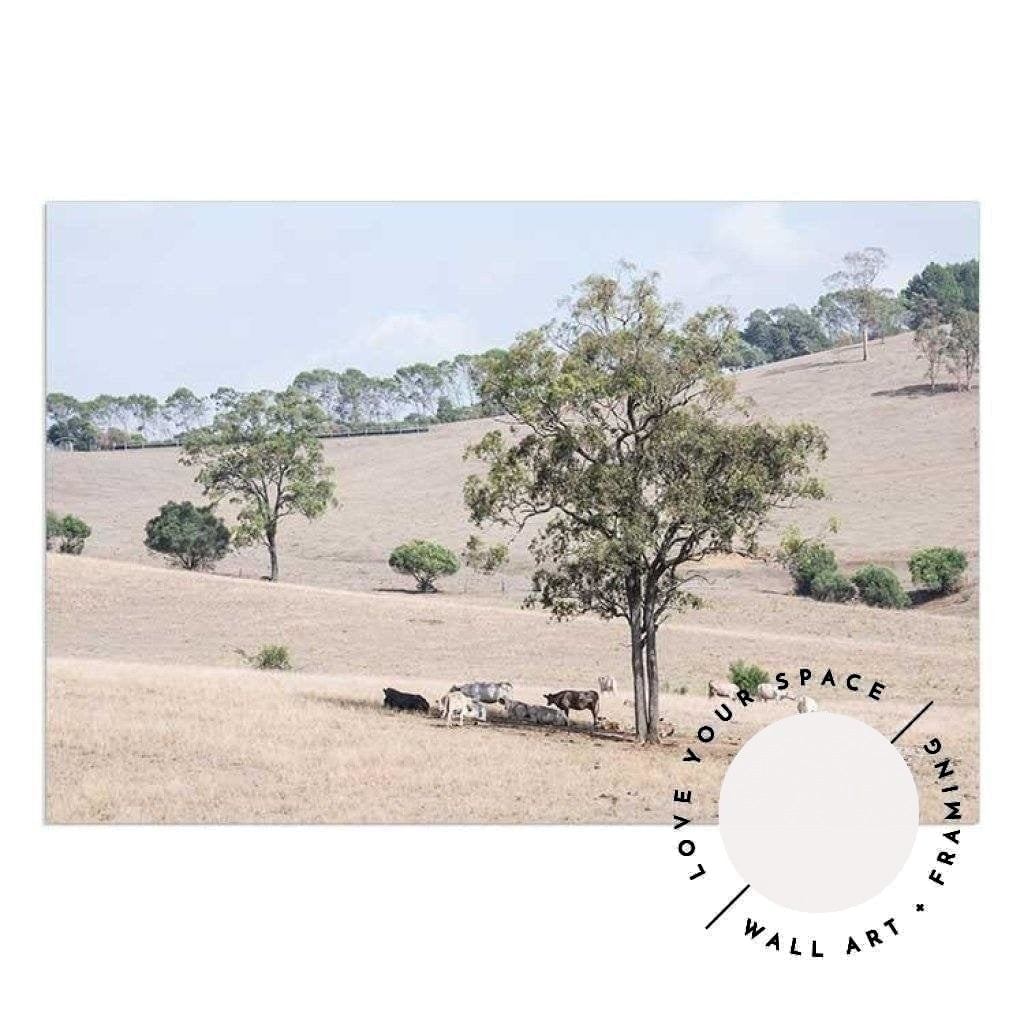 Getting Shade - The Hunter Valley - Love Your Space