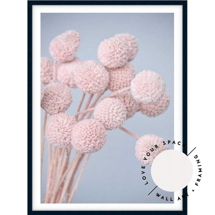 Pink Billy Buttons - Love Your Space