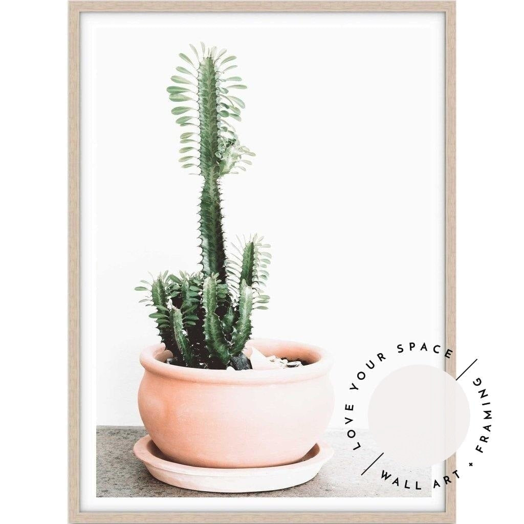 Potted Cactus - Love Your Space