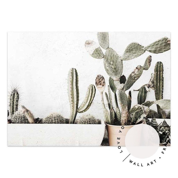 Rustic Cactus - Love Your Space