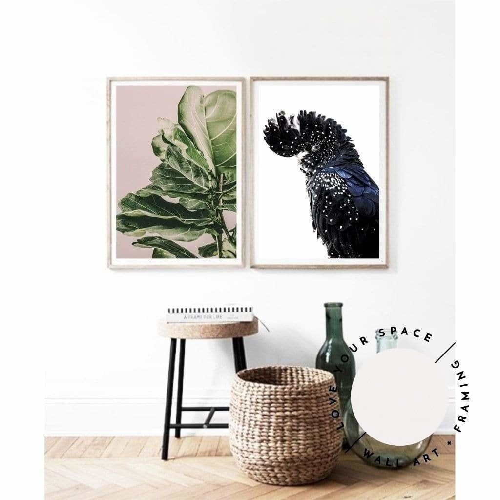Set of 2 - Fiddle Leaf On Pink no.1 & Black Cockatoo - Love Your Space