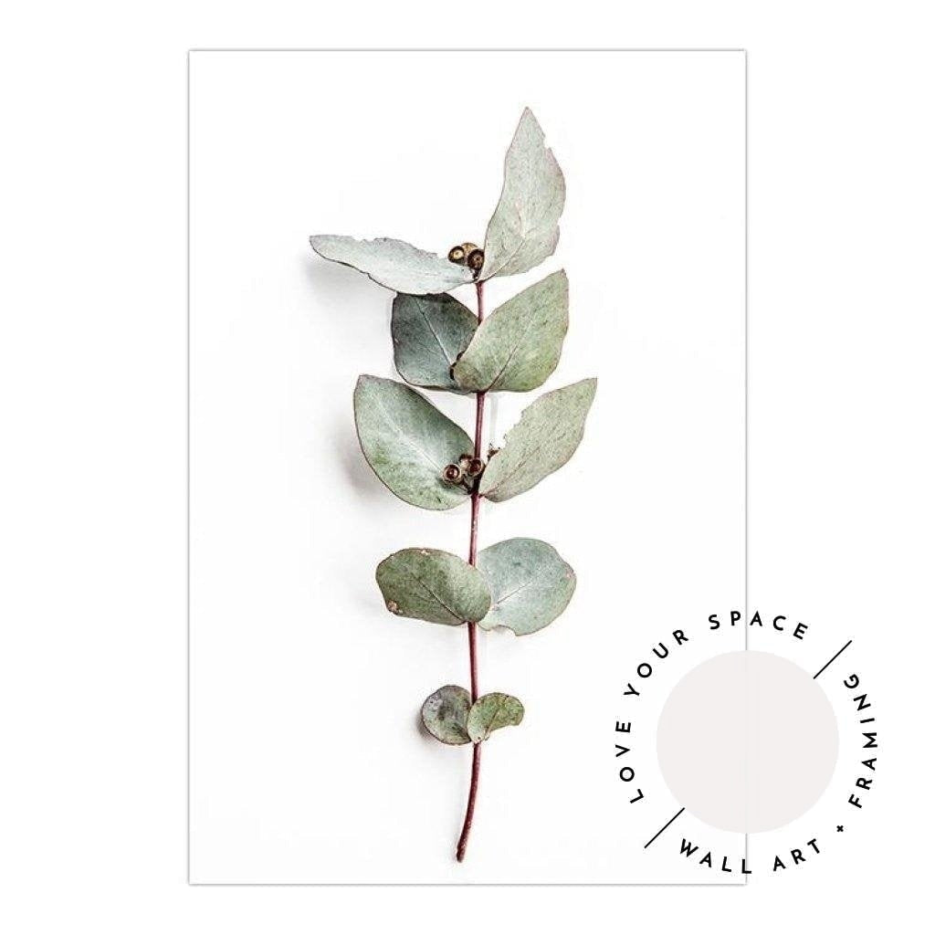 Set of 2 - Icy Pink Eucalyptus no.1 & Eucalyptus Leaves no. 2 - Love Your Space