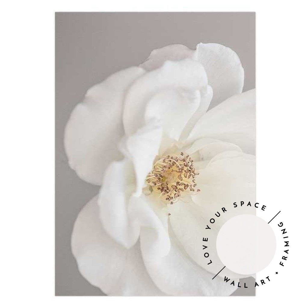 Set of 2 - Twiggy & White Rose III - Love Your Space